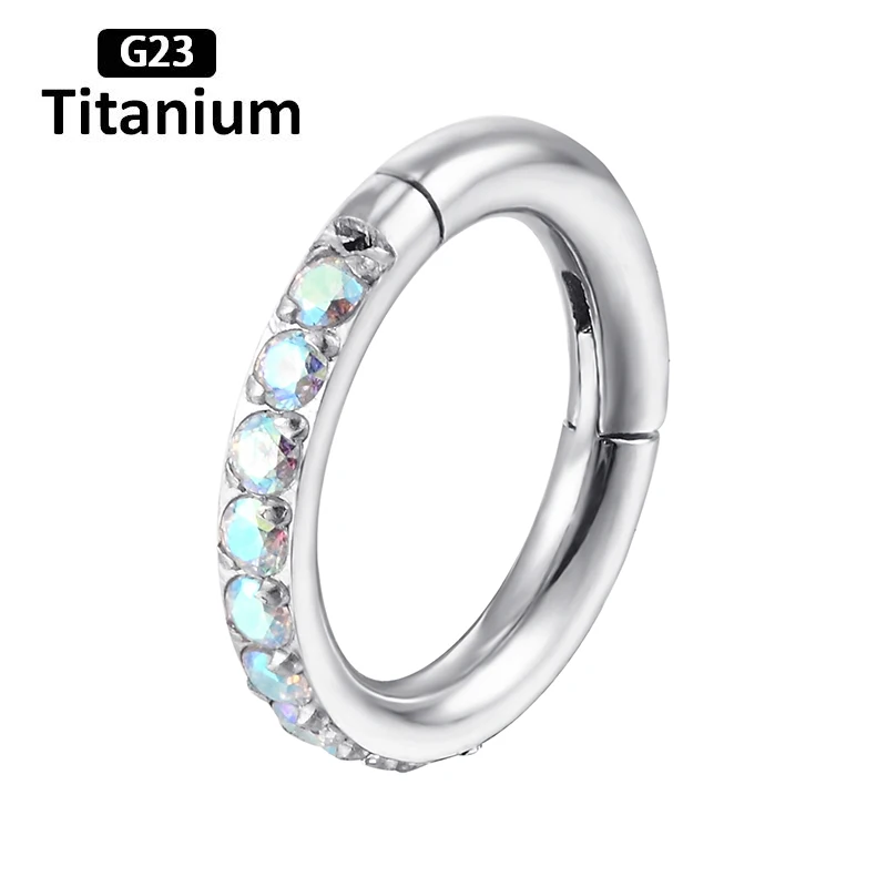 Titanium CZ Septum Hoop Piercings - Hochwertiger Segment Nasenring - Helix Body Jewelry 38 2140644140